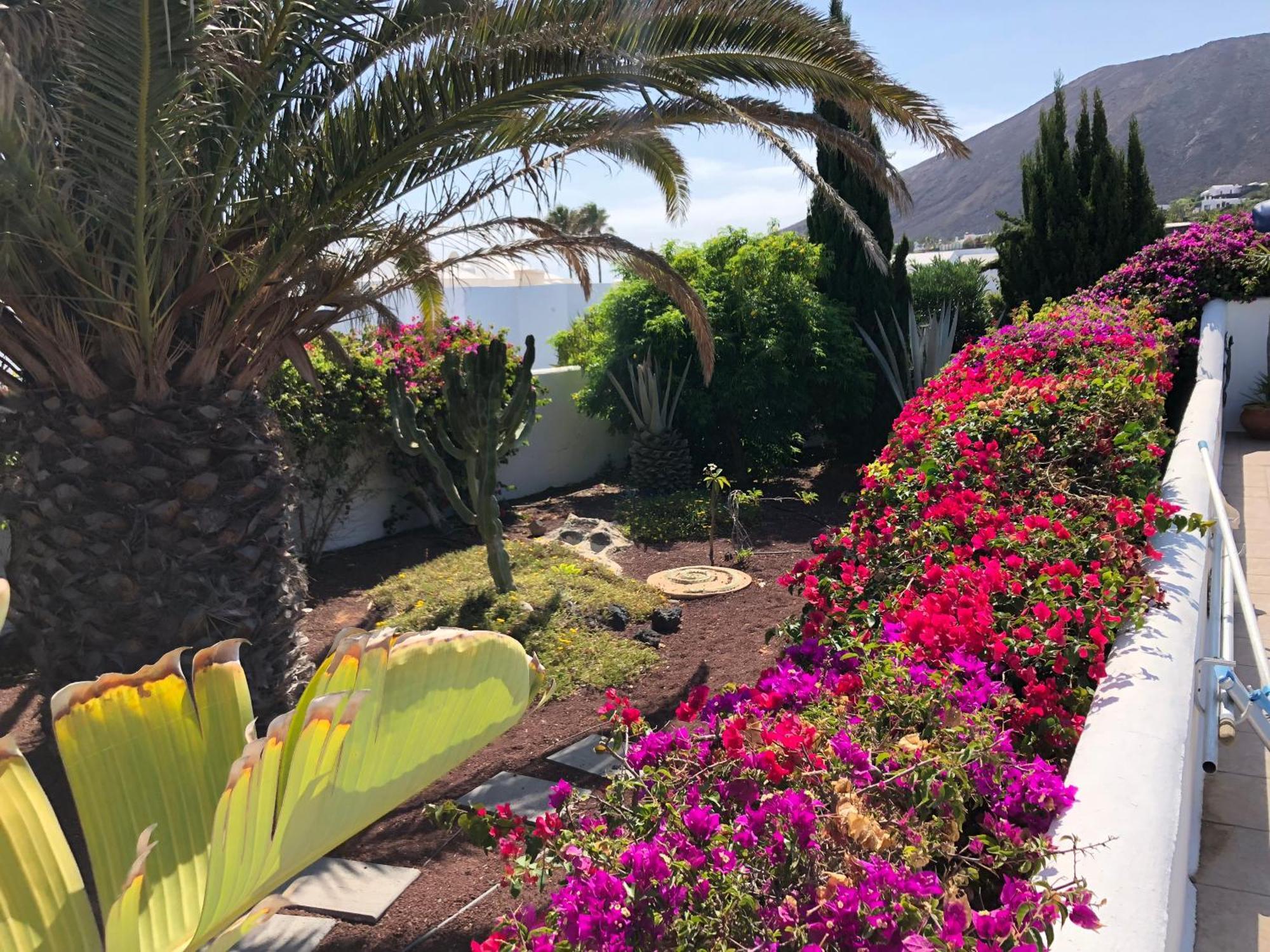 Villa Coco - Play Blanca - Lanzarote Playa Blanca  Ngoại thất bức ảnh